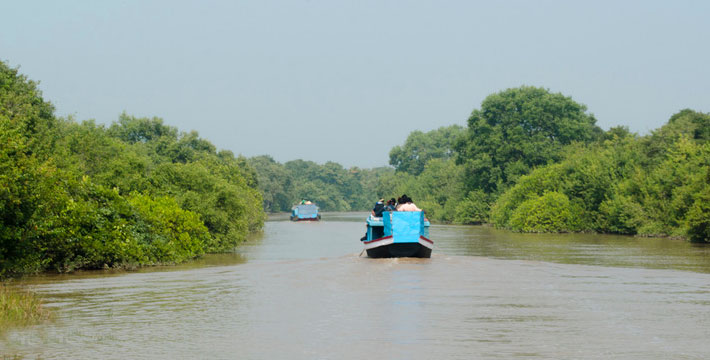 Odisha Wildlife Tour